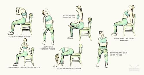 1B-Seated Stretching Exercises