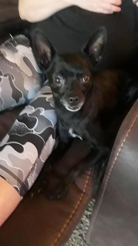 4b1381fa-f9ca-4d45-97f7-a58b3c9a5fa9