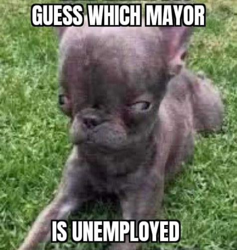 FB_IMG_1677775551323