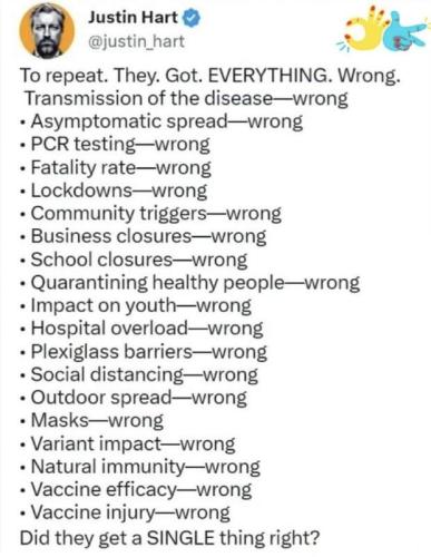 Plamdemic wrong
