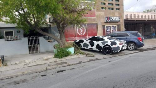 FB_IMG_1679512231542