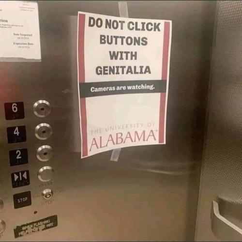 FB_IMG_1678383065162