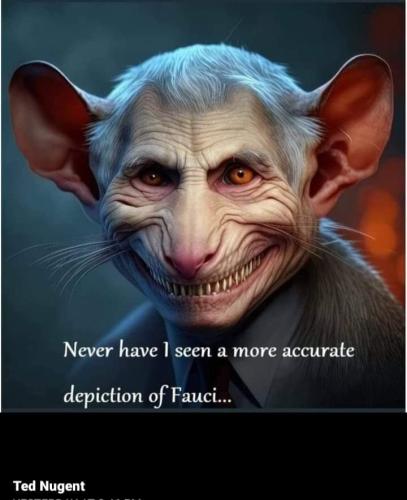 FB_IMG_1679656750278