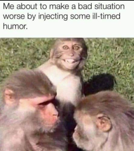 FB_IMG_1680210849225