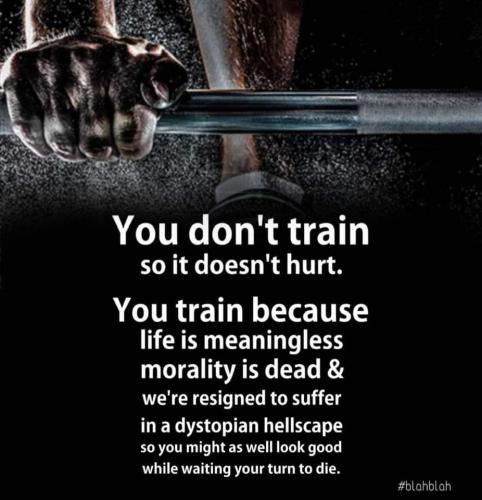 FB_IMG_1679348847636