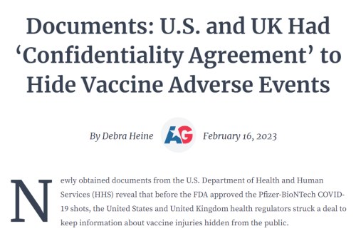 Hide Vaccine Problems