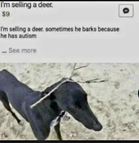 Screenshot_20230303_183305_YouTube