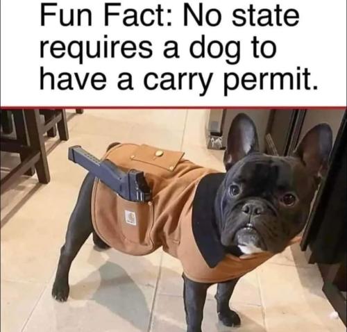 FB_IMG_1678295814888