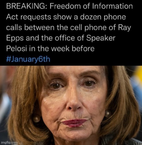 ray epps and Pelosi