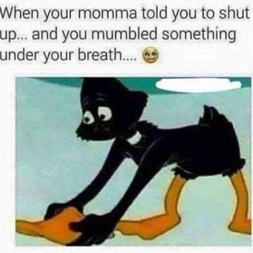 FB_IMG_1680067103111