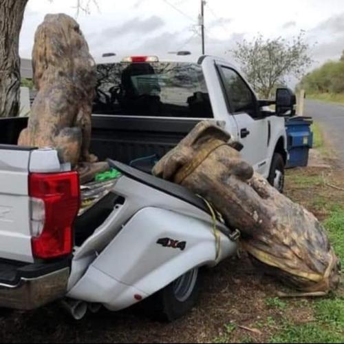 FB_IMG_1680288016997