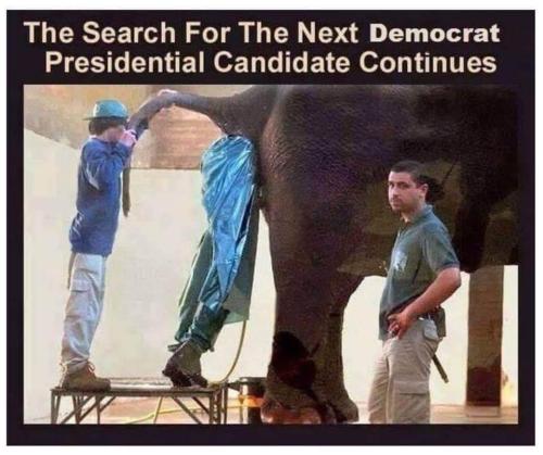 FB_IMG_1680288474286