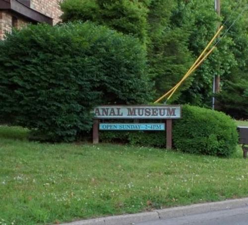 FB_IMG_1679673402066