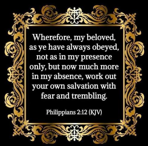 a1eb8fd3-d2bd-4052-b0f8-ad105e7c3ac9