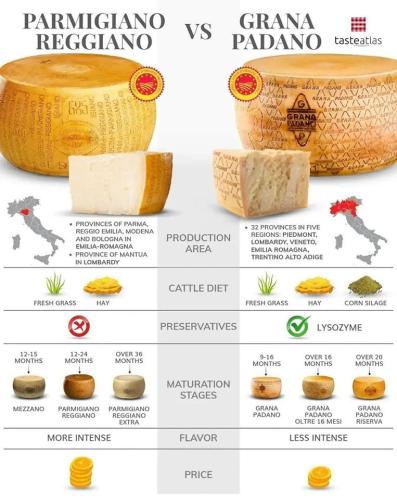 334572862_590069249396372_6670971093973574613_n