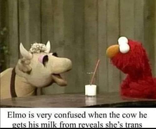 FB_IMG_1680273836860