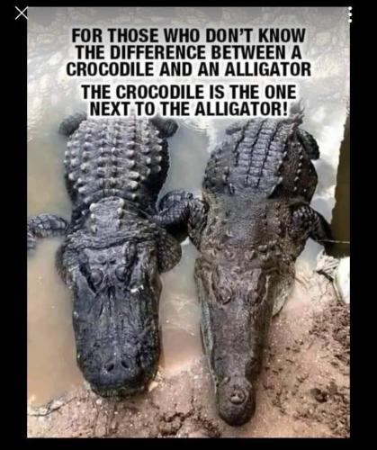 FB_IMG_1680101786877