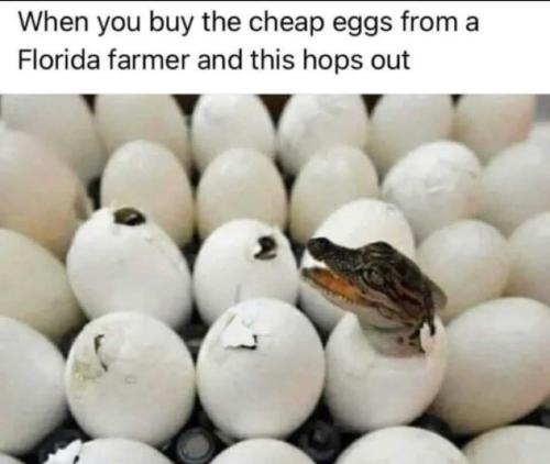 ae02b4d7-c48c-4e2d-a151-b6be349d1fa2