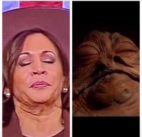 FB_IMG_1678934234477