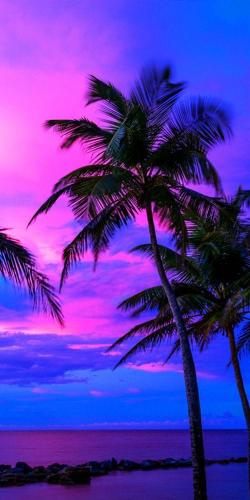 3-MonthSupply_728x90