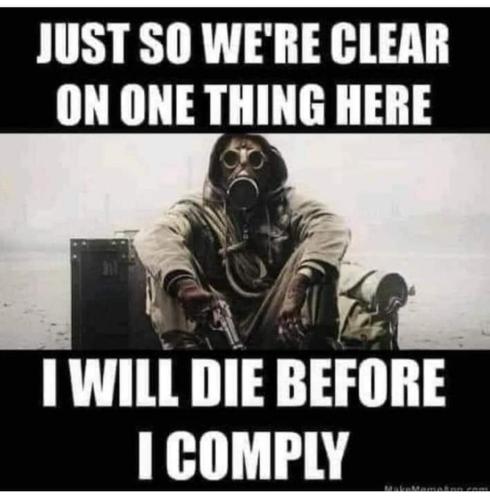 FB_IMG_1677680557524