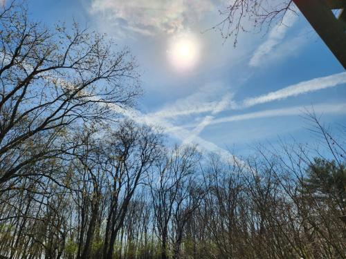 f113f003-c7d8-491e-829c-4e4035323002