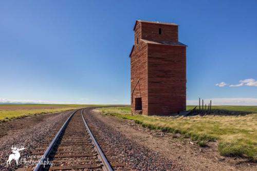 FB_IMG_1678850314230