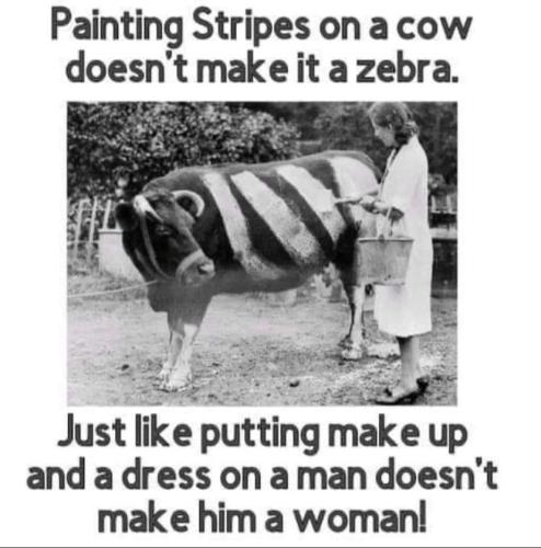 FB_IMG_1678861456709