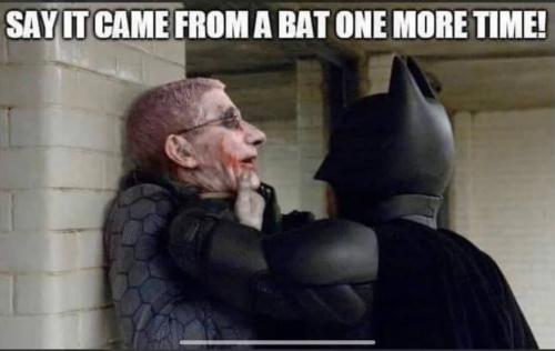 photo_2023-03-10_14-07-32