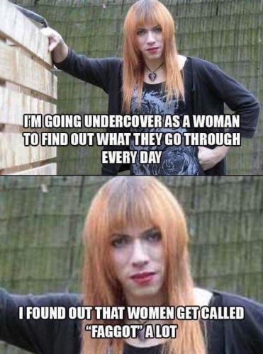 FB_IMG_1680190495220