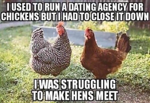 dating agency