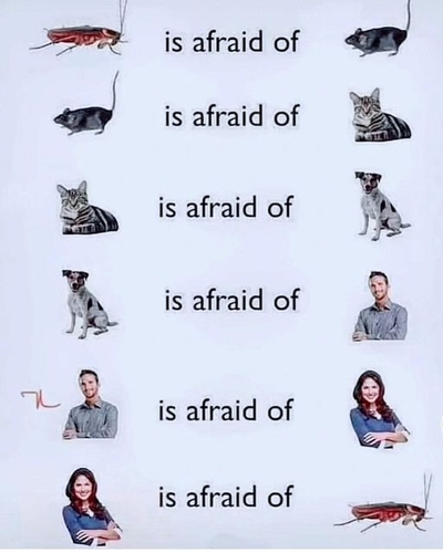 is afraid of