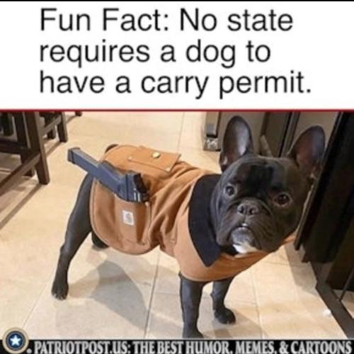 Screenshot_20230309_034519_Quora