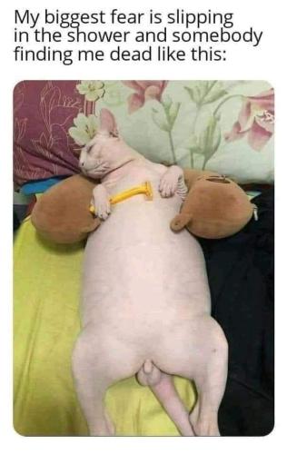 FB_IMG_1678511346341