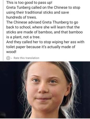 Greta Thunberg 59a - stupid but mmmmmoney happy