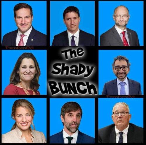 the shady bunch