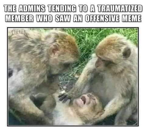 FB_IMG_1678643800434