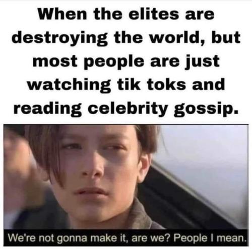 Celebrities 2