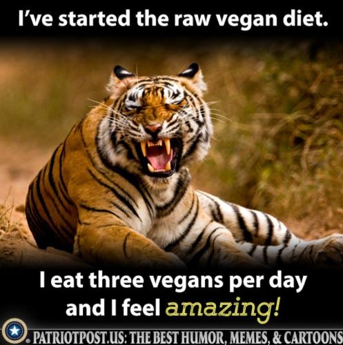 Screenshot_20230311_145220_Outlook