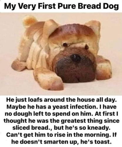 334983315_867021904364408_3359451455667719968_n