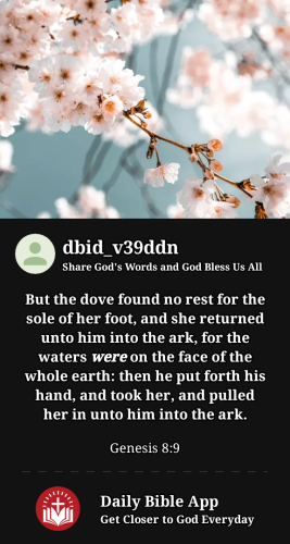 2023-03-141678855215636