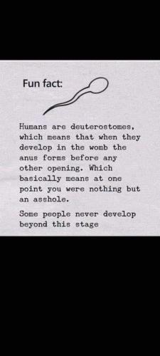 FB_IMG_1678468466773