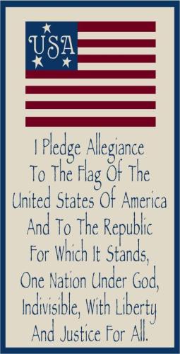 pledge to flag 165
