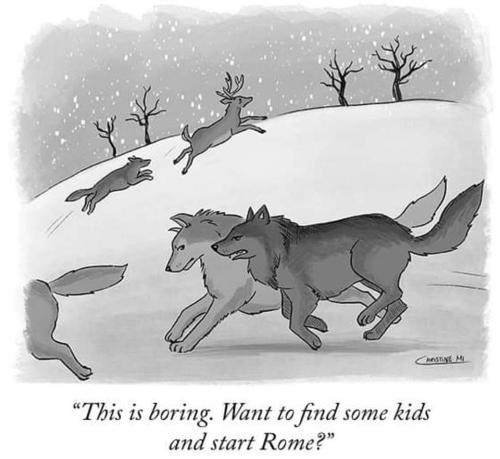 FB_IMG_1677912720151