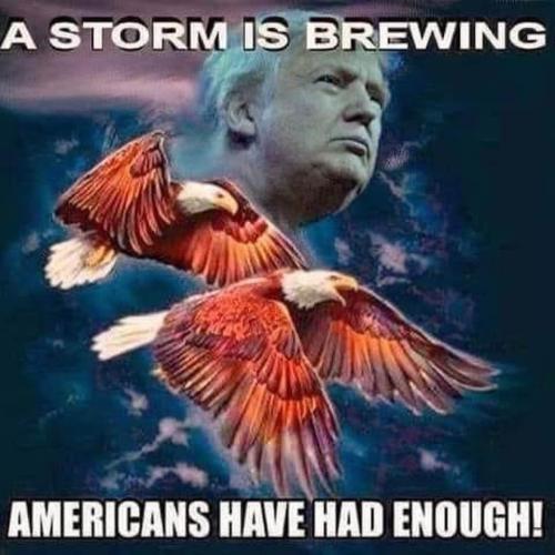 Trump 15