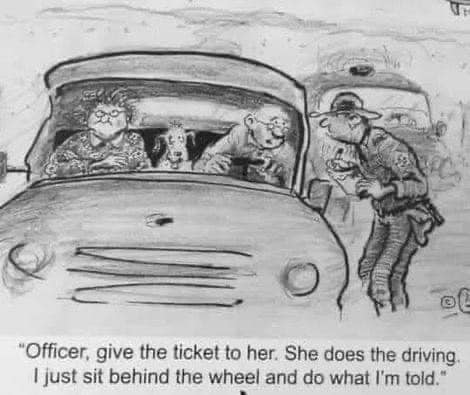 335184985_185577047516175_3106234529250393944_n