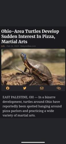 FB_IMG_1678220738014