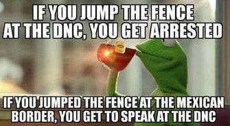 illegal immigration318