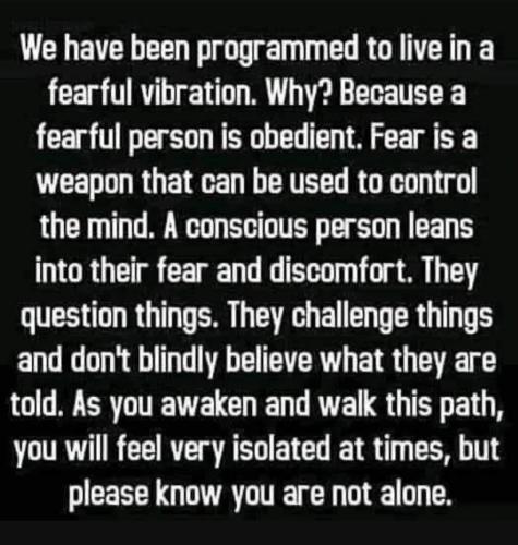 Screenshot_20230310_211008_YouTube