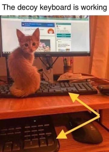 decoy keyboard